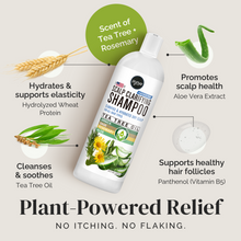 Load image into Gallery viewer, Scalp Clarifying Shampoo