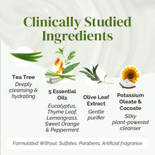 Load image into Gallery viewer, Tea Tree Body Wash